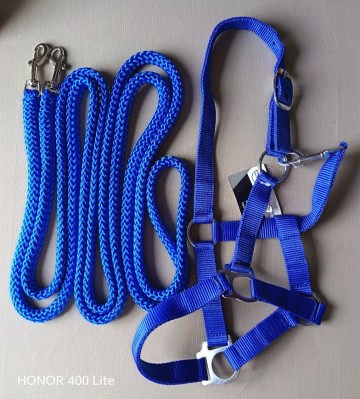 Set lange teugel kobalt blauw mini shetlander en shetlander