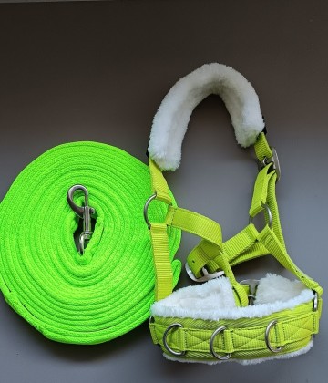 Set longeerlijn kaptoom lime groen shetlander