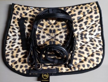 Setje dekje mini hoofdstel