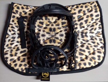 Setje dekje shetlander hoofdstel