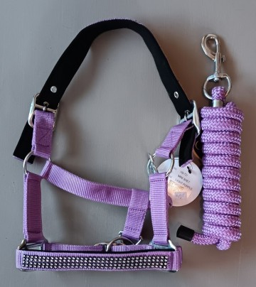 Setje halster steentjes en touw mini shetlander paars