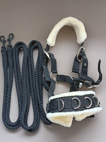 Setje kaptoop lange teugel zwart