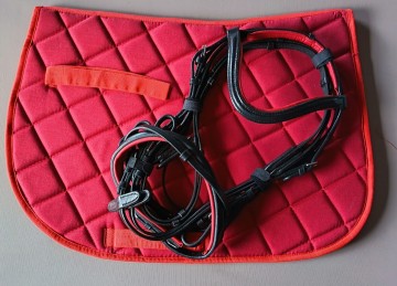 Setje katoen dekje en hoofdstel rood shetlander