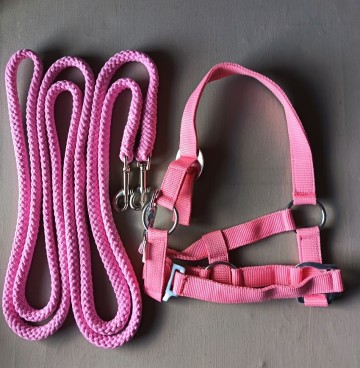 Setje lange teugel en halster mini shetlander baby roze