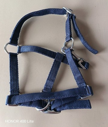 Veulen halster hb donkerblauw