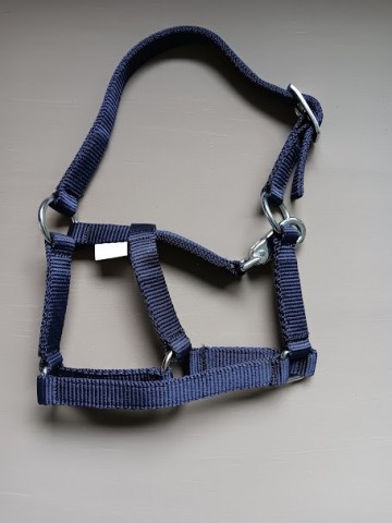 Veulen halster mini blauw 0