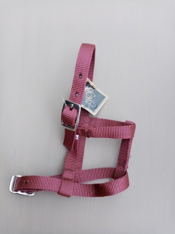 Veulen halster mini bordeaux