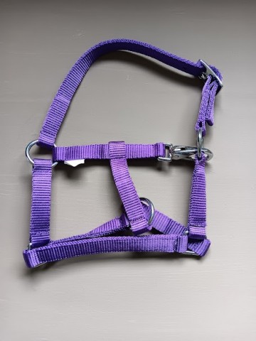 Veulen halster mini paars