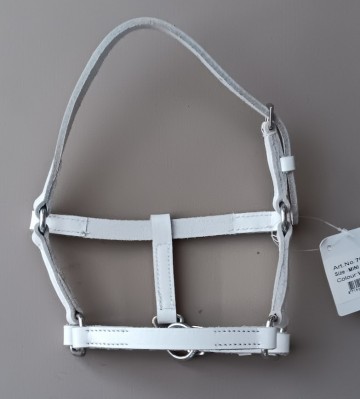 Veulen halster mini wit