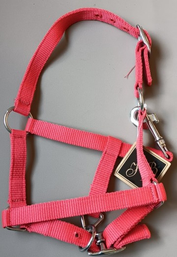 Veulen halster shetlander rood