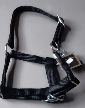 Veulen halster shetlander zwart