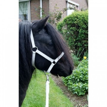 Wit leer halster shetlander
