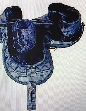 Zadelbont zwart shetlander